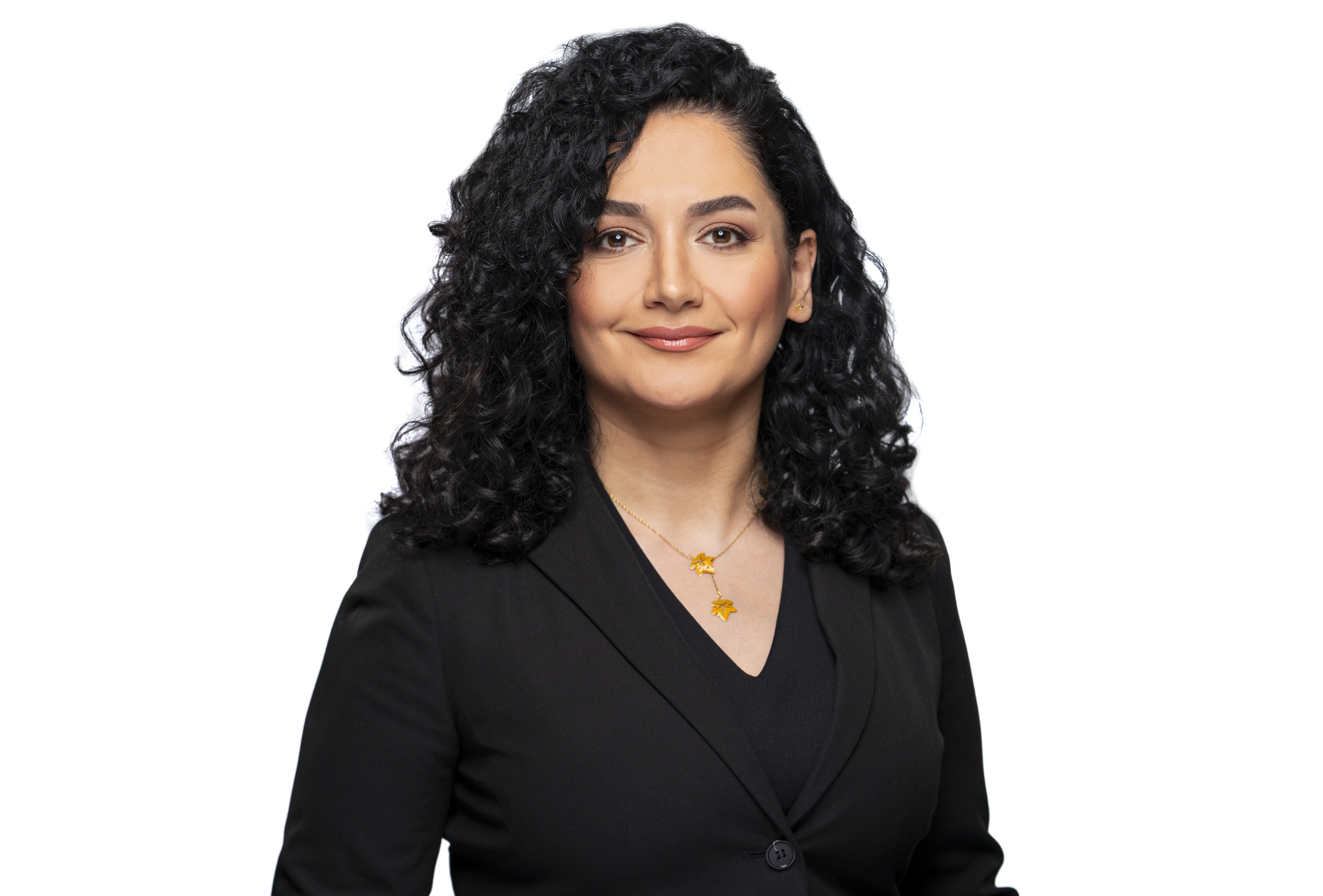 Mehr Amirkamali portrait